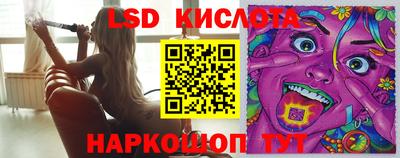 дмт Камышлов