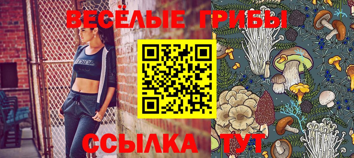 наркошоп  Ростов-на-Дону  Галлюциногенные грибы мухоморы 