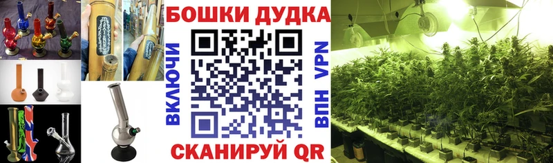 Каннабис семена  Ростов-на-Дону 
